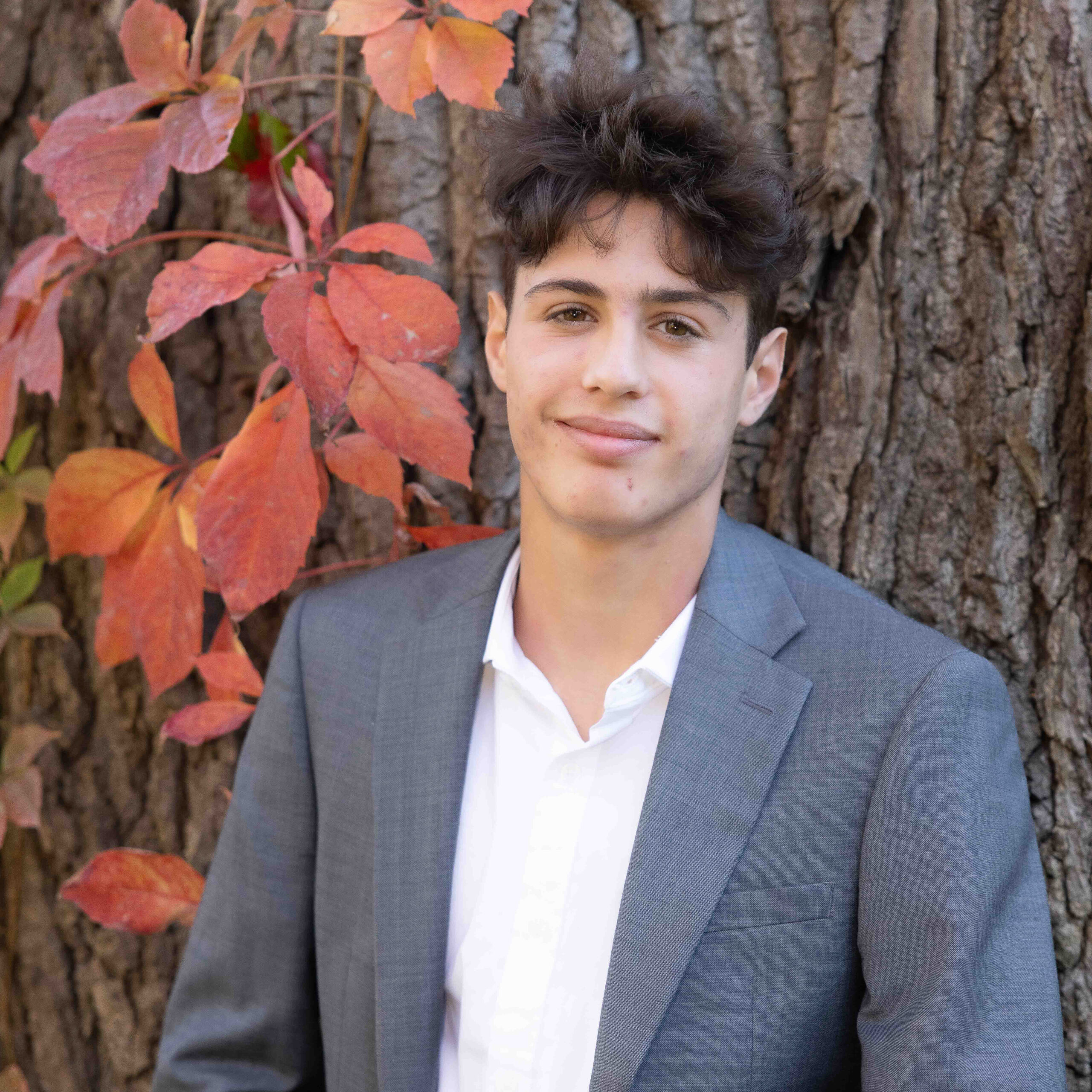 high school boy in grey suit with brown hair leaning against a tree with red leaves in senior portrait taken by photographer in wilmette